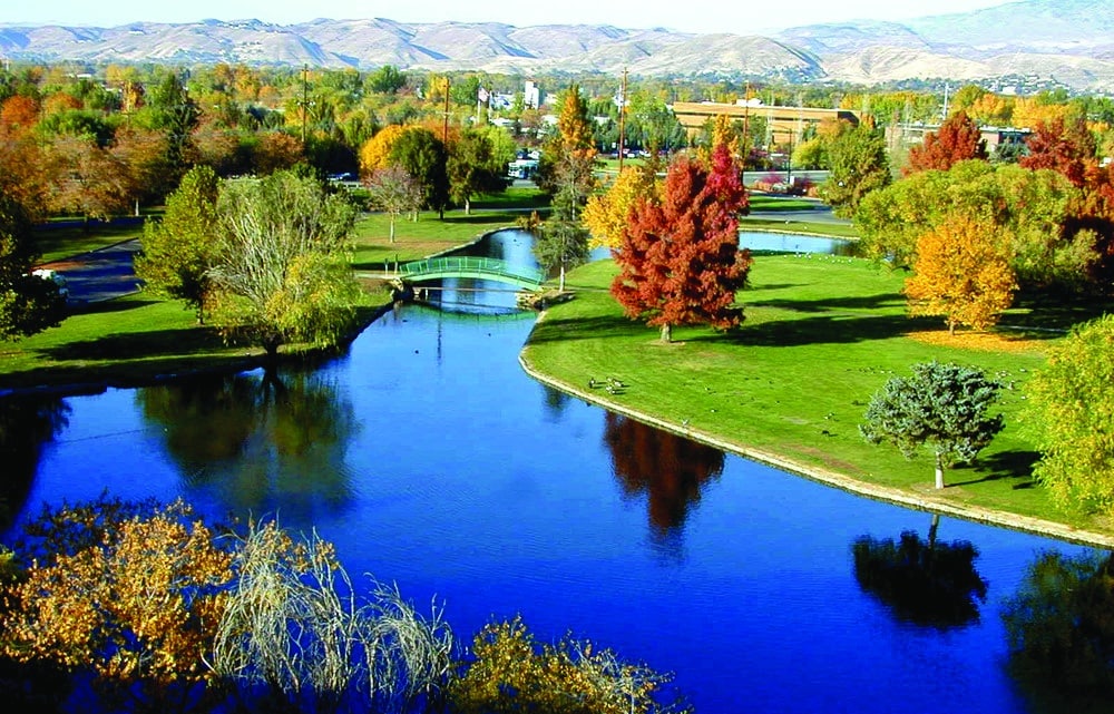 Boise Ann Morrison